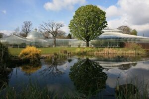 GLASGOW BOTANIC GARDENS